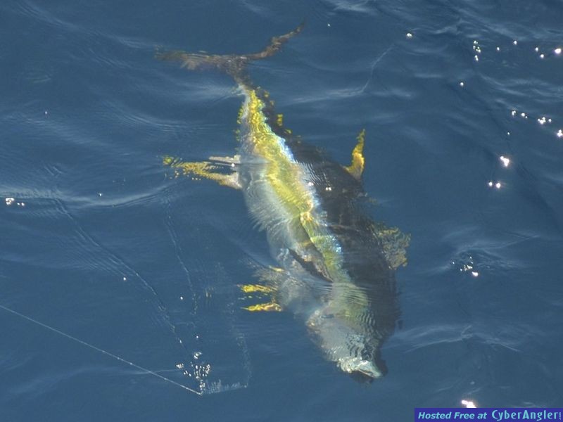 Click to Enlarge Photo