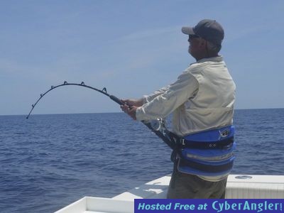 Click to Enlarge Photo