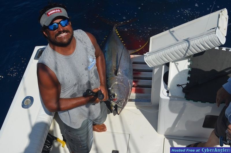 Click to Enlarge Photo