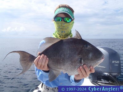 Click to Enlarge Photo