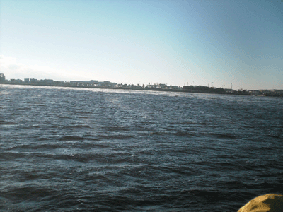 www.captdaves.com