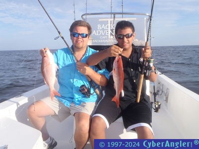 Click to Enlarge Photo