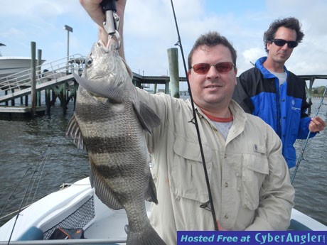 Tasty Black Drum