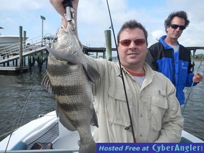 Tasty Black Drum