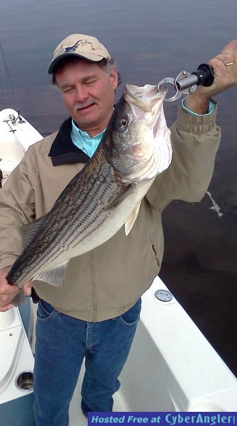 Striper