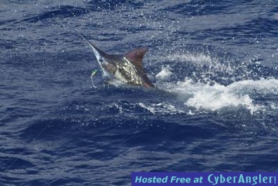 Click to Enlarge Photo