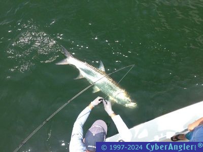 Click to Enlarge Photo