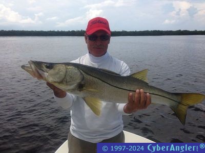 Click to Enlarge Photo