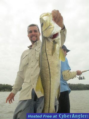 sw fl snook fishing