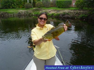 Miami Peacock bass