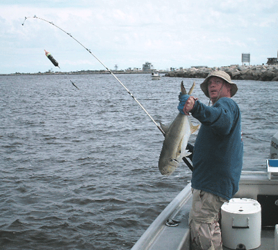 www.captdaves.com