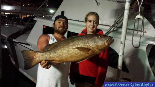 Cubera Snapper