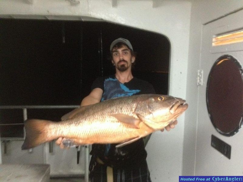Cubera snapper