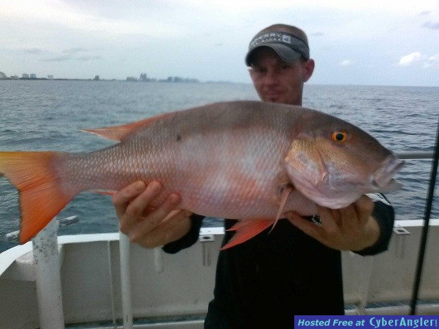 Mutton snapper