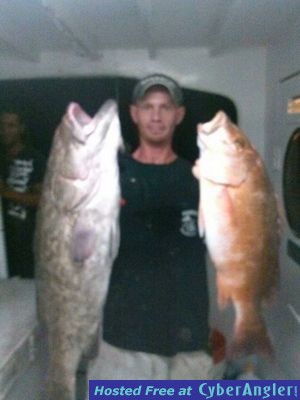 Nice grouper and Snapper