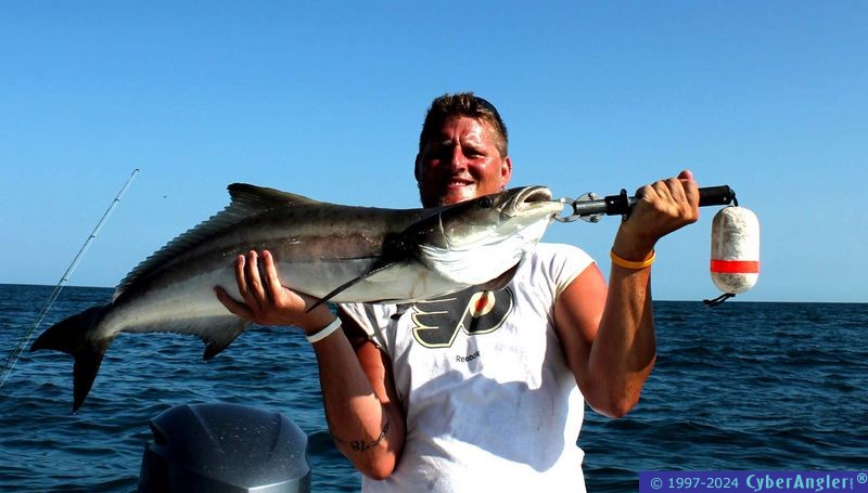 Cobia Fishing - w/ Capt. Tom Chaya