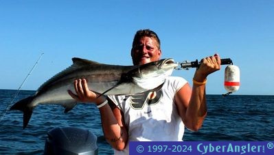 Cobia Fishing - w/ Capt. Tom Chaya