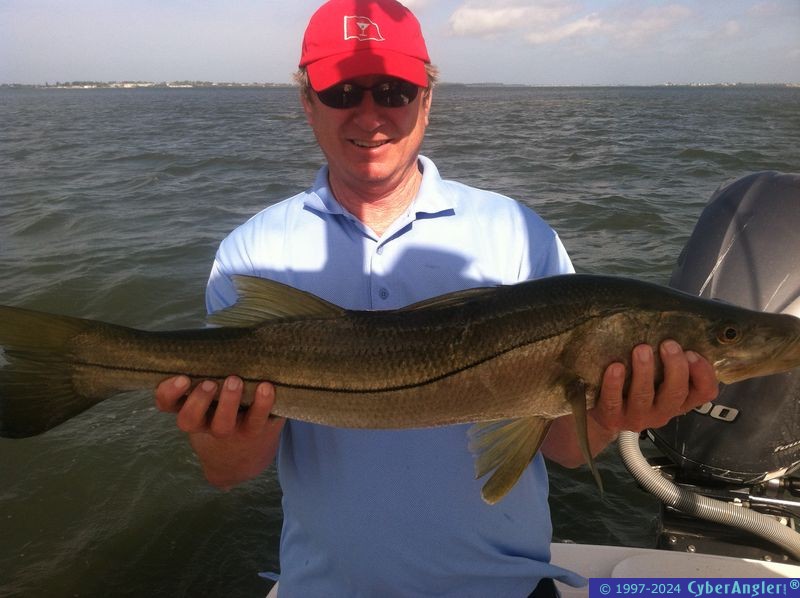 Snook Fishing - w/Capt. Tom Chaya