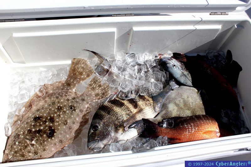 Winter fishing w/Capt. Tom Chaya