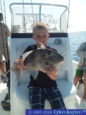 Click to Enlarge Photo