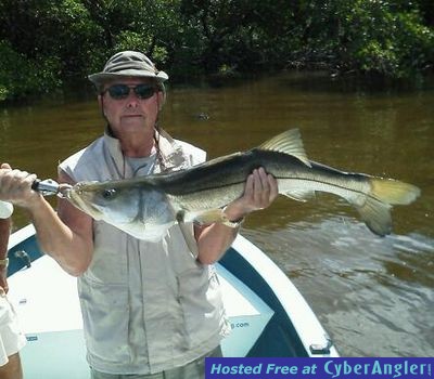18 lb. Snook Released in Naples