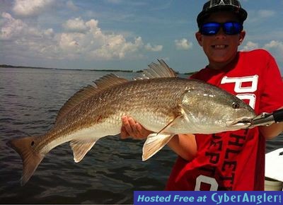 Click to Enlarge Photo