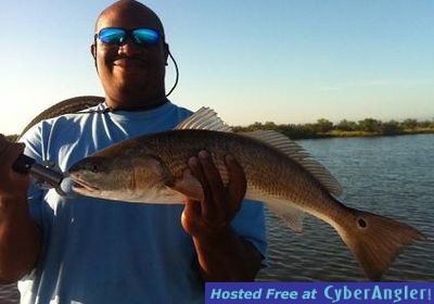 Click to Enlarge Photo