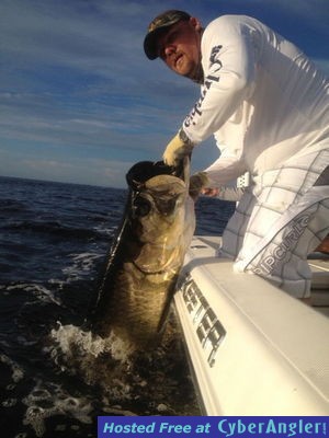 September Boca Grande Tarpon