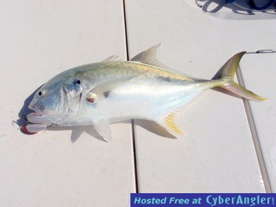 Click to Enlarge Photo