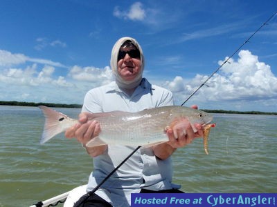 Click to Enlarge Photo