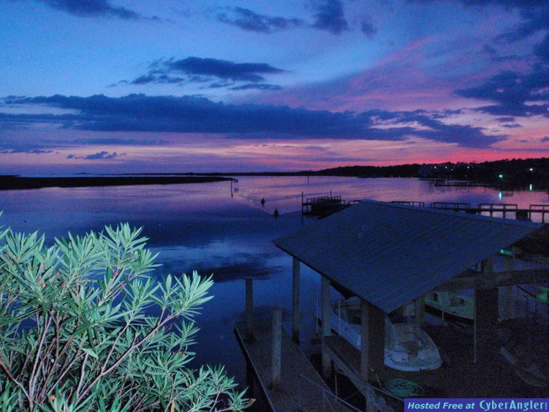 Steinhatchee_view