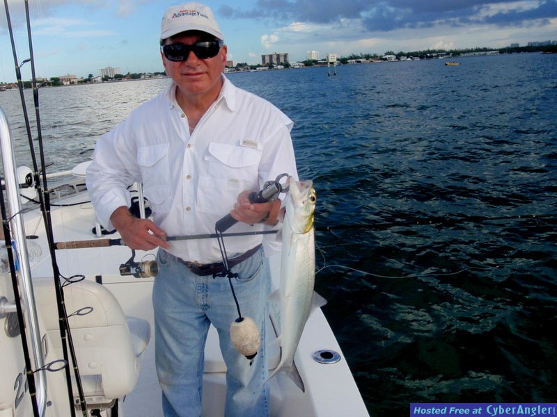 Steve_n_large_ladyfish