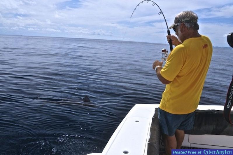 Click to Enlarge Photo