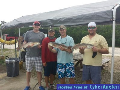 Redfish Estero Bay Fort Myers