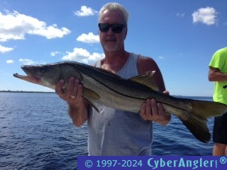 Click to Enlarge Photo