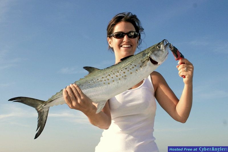 Giant Tampa Bay Mackerel