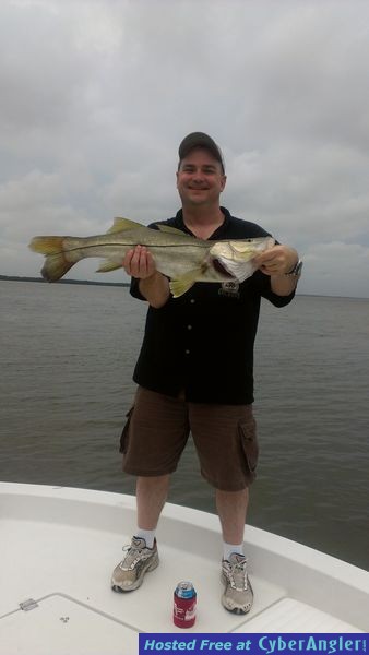 Another nice snook