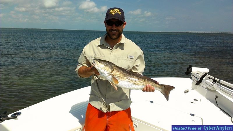 Big Tampa Bay Redfish