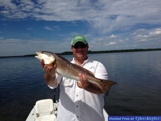 Estero Bay Redfish