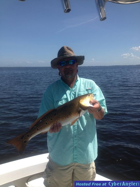 Fishy Business LLC