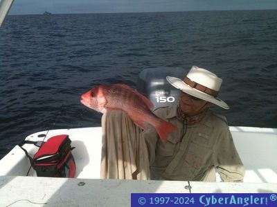 Click to Enlarge Photo