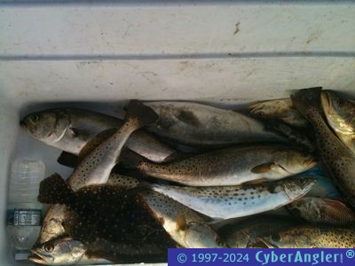 Click to Enlarge Photo