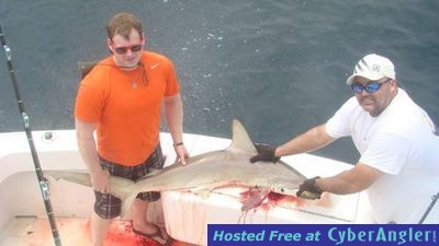 Click to Enlarge Photo