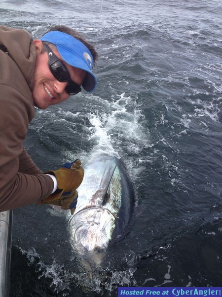 Click to Enlarge Photo