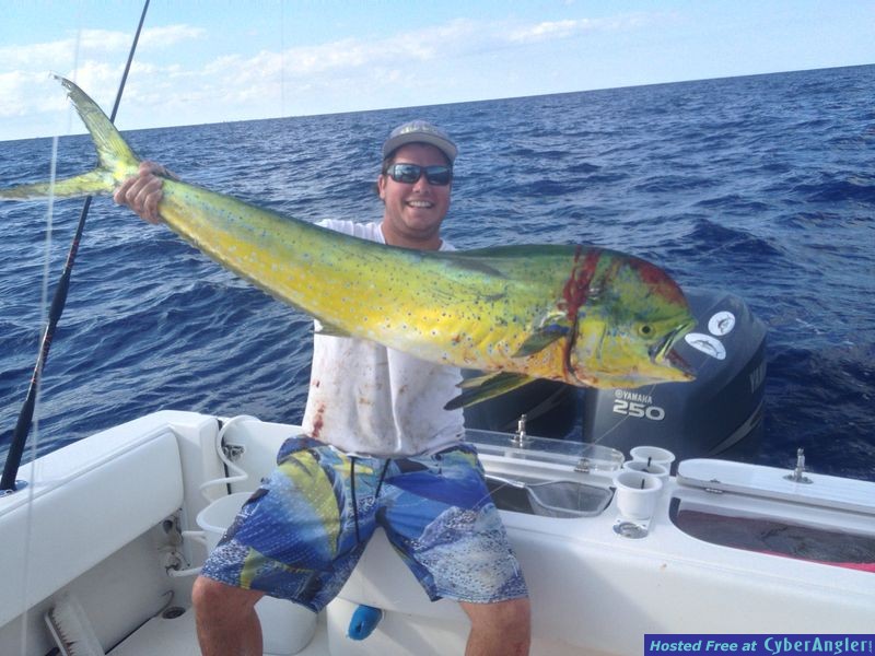 Click to Enlarge Photo