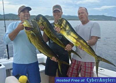 Click to Enlarge Photo