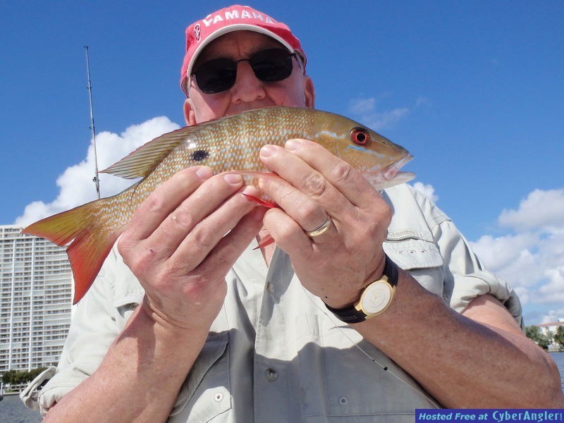 Arnie_n_mutton_snapper