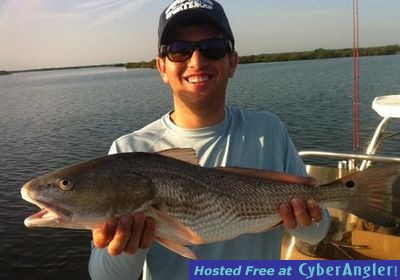 Click to Enlarge Photo