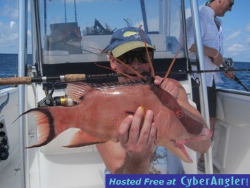 22-inch hogfish
