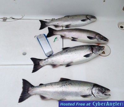 Click to Enlarge Photo